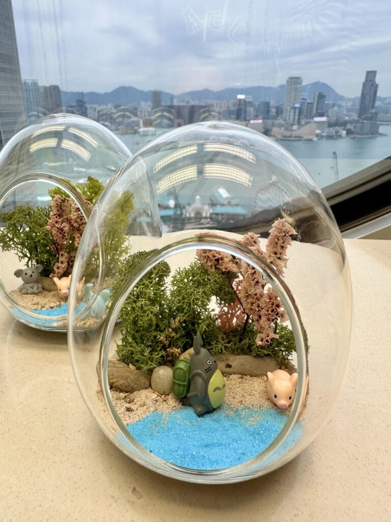 永生苔蘚微景觀工作坊 - Wonderland Art Healing