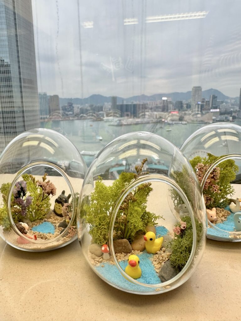 永生苔蘚微景觀工作坊 - Wonderland Art Healing