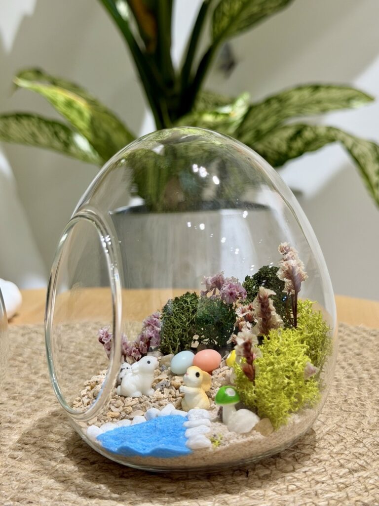 永生苔蘚微景觀工作坊 - Wonderland Art Healing