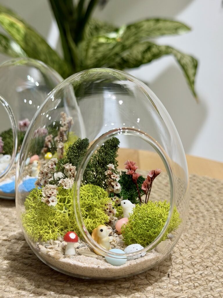 永生苔蘚微景觀工作坊 - Wonderland Art Healing