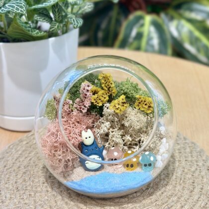 永生苔蘚微景觀工作坊