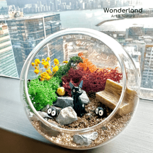 苔蘚微景觀玻璃工作坊 - Image 3
