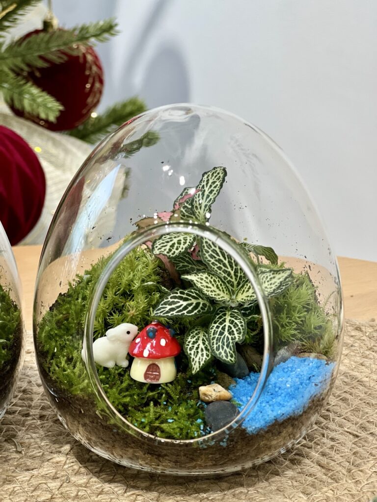 新鮮苔蘚微景觀工作坊 - Wonderland Art Healing