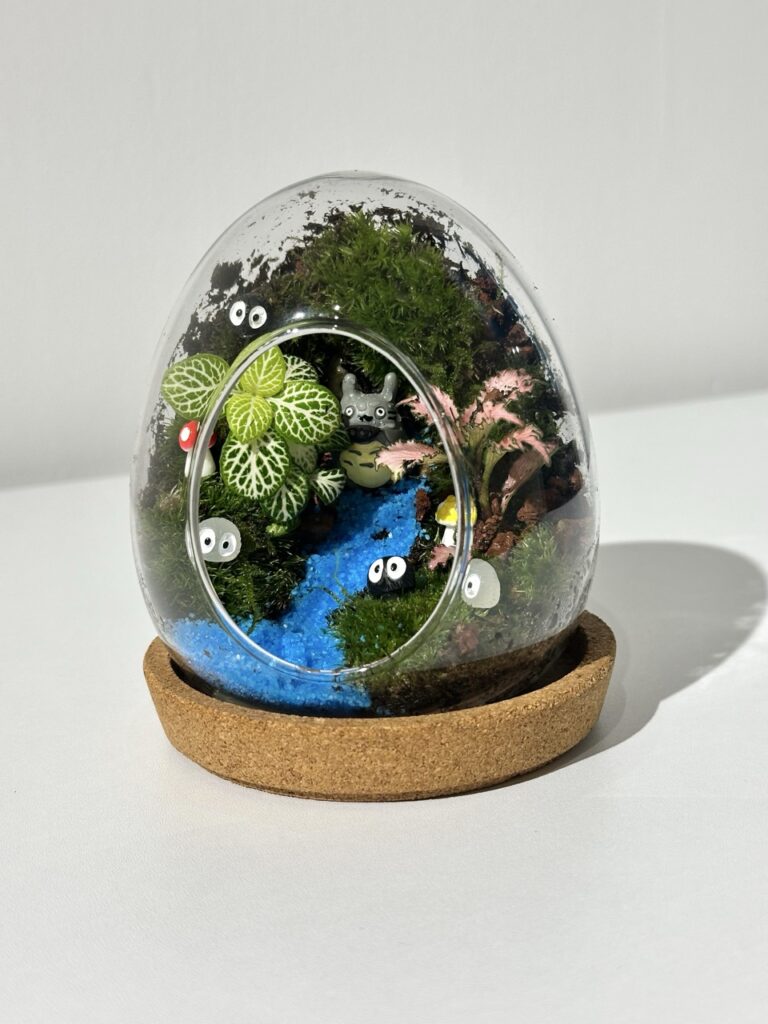 新鮮苔蘚微景觀工作坊 - Wonderland Art Healing