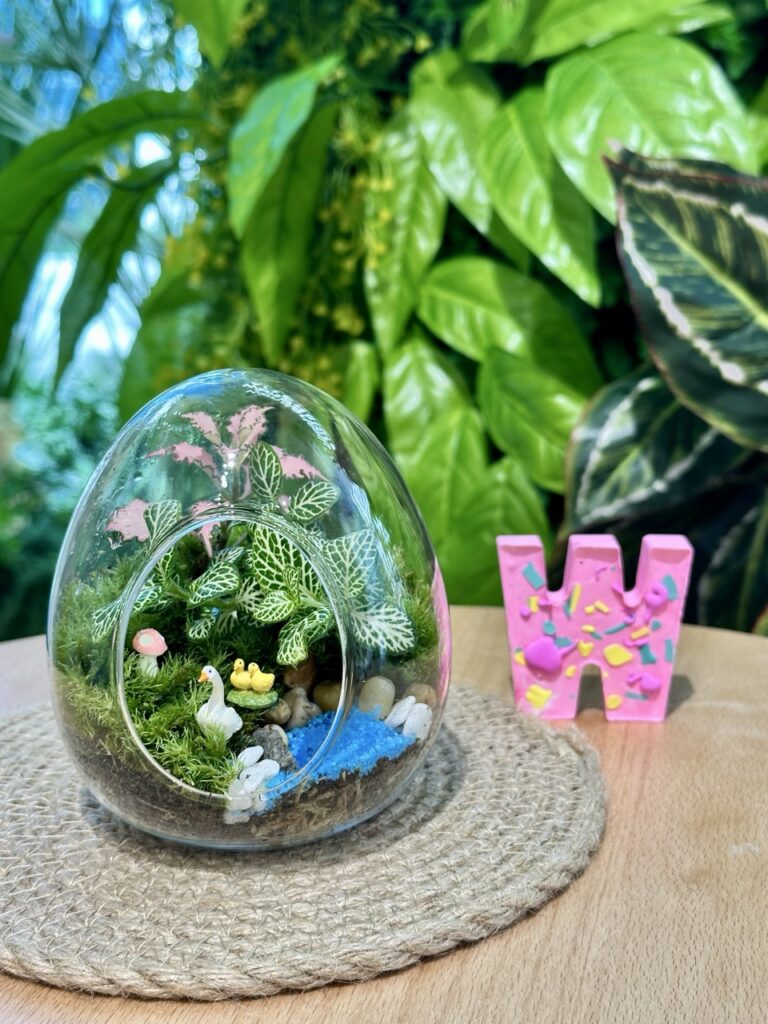 新鮮苔蘚微景觀工作坊 - Wonderland Art Healing