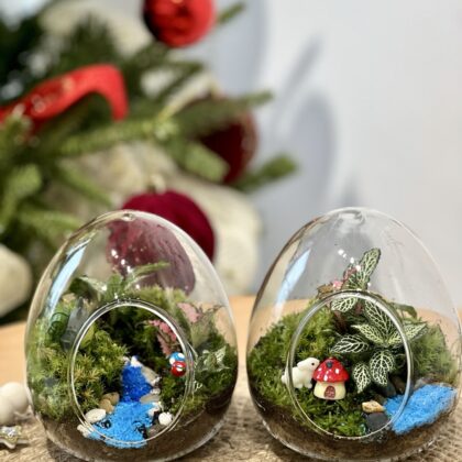 新鮮苔蘚微景觀工作坊