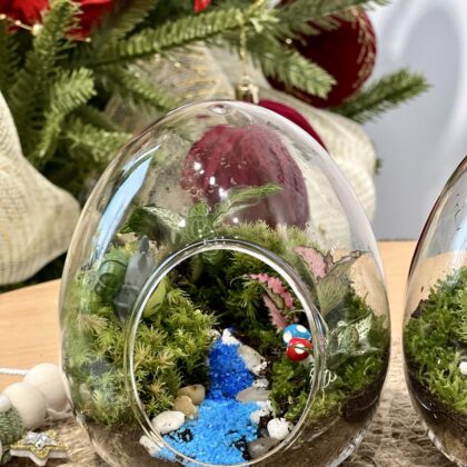 新鮮苔蘚微景觀工作坊