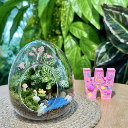 新鮮苔蘚微景觀工作坊