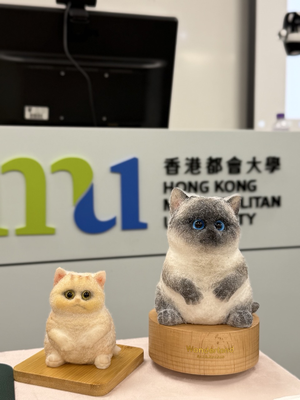 Q彈啫喱貓咪工作坊 - Image 20