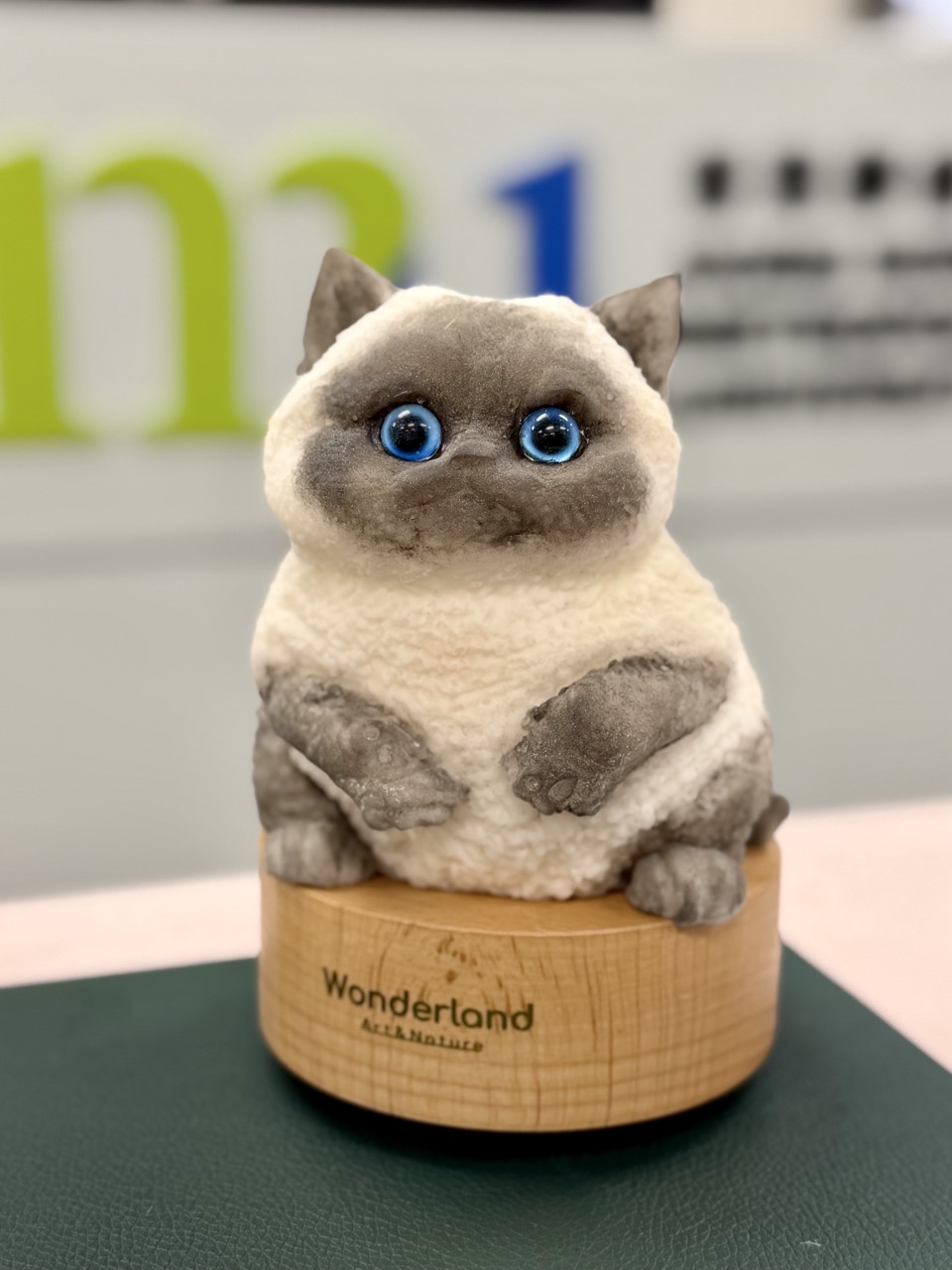 Q彈啫喱貓咪工作坊 - Image 19