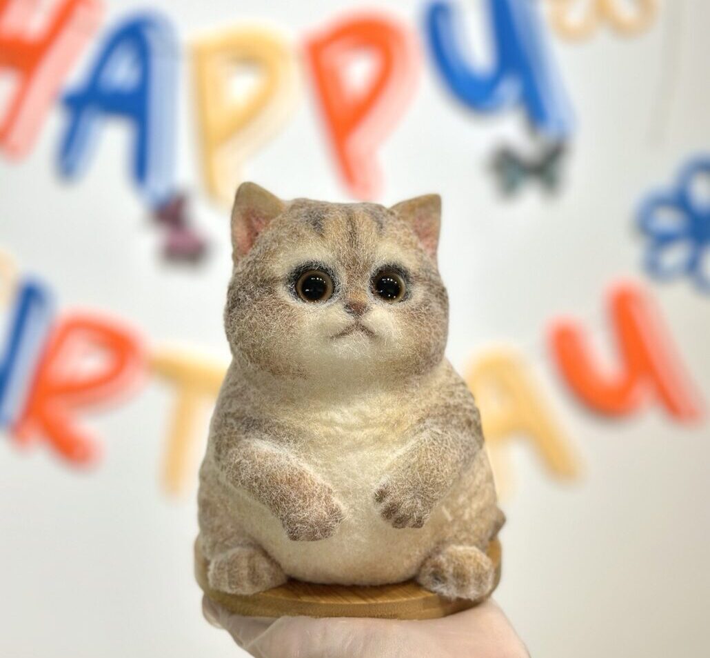 Q彈啫喱貓咪工作坊