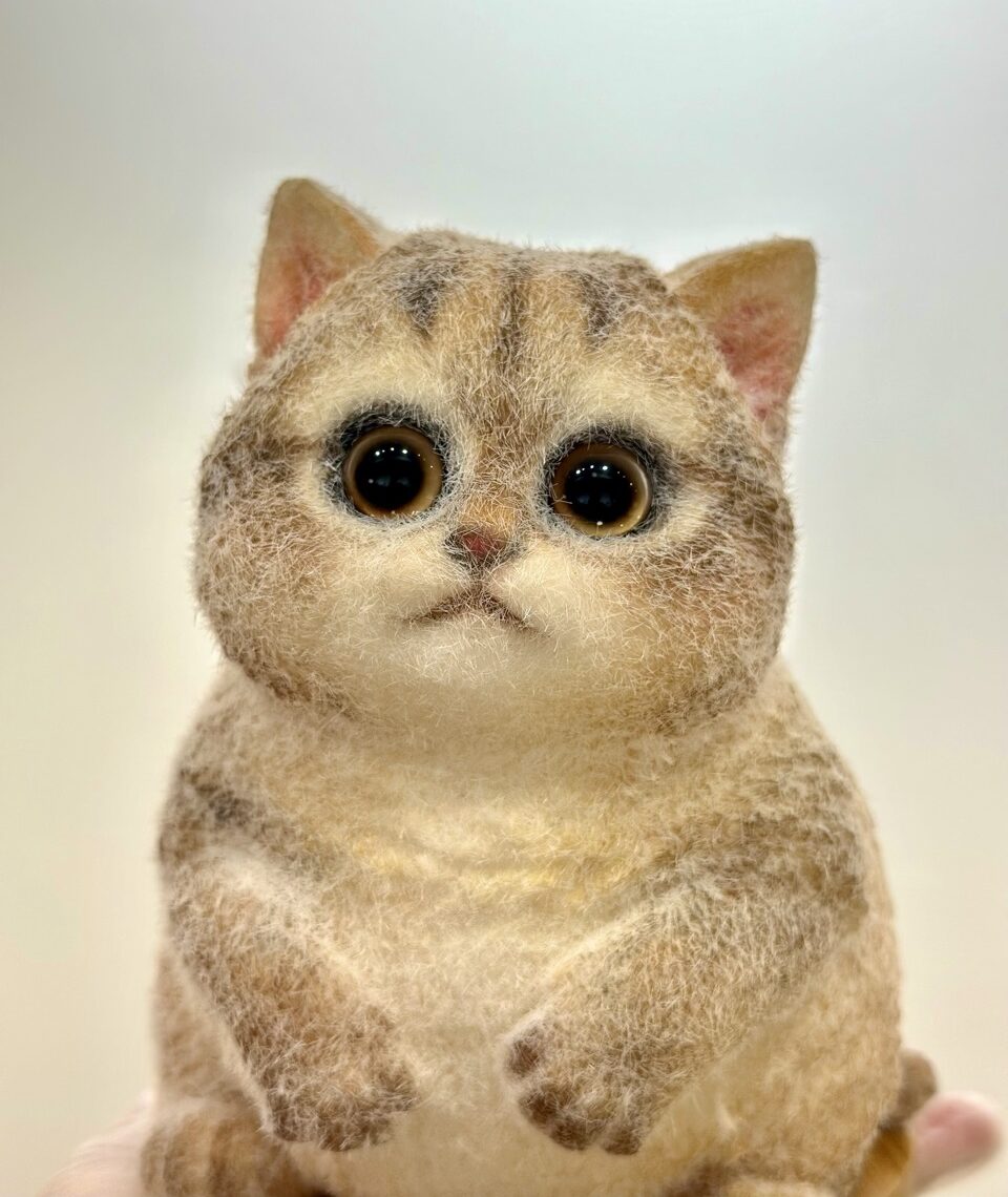 Q彈貓咪工作坊