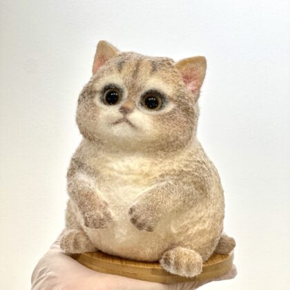 Q彈啫喱貓咪工作坊