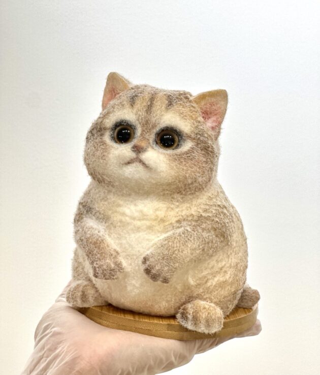 Q彈啫喱貓咪工作坊