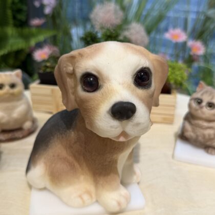 Q彈狗工作坊