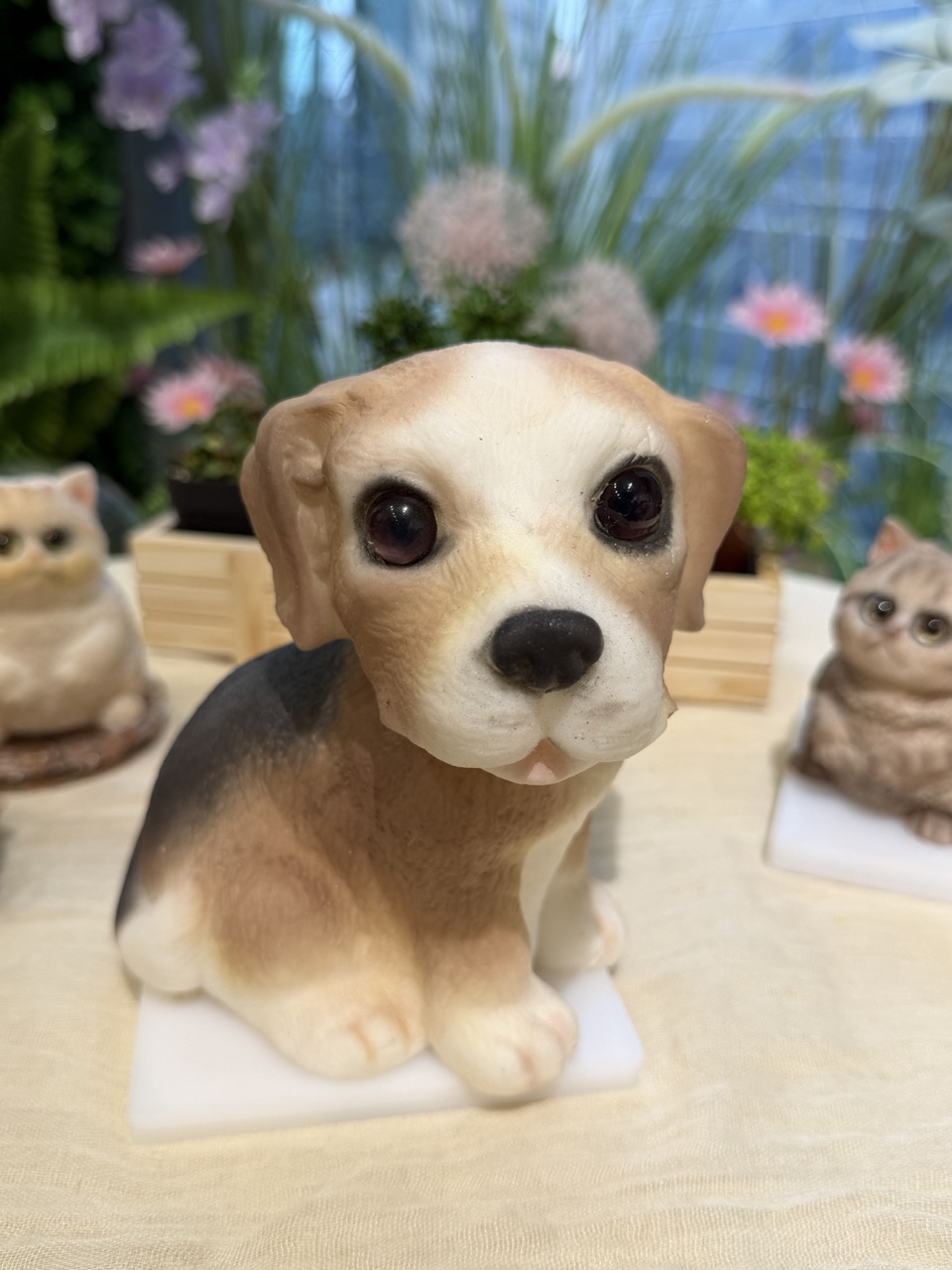 Q彈狗工作坊