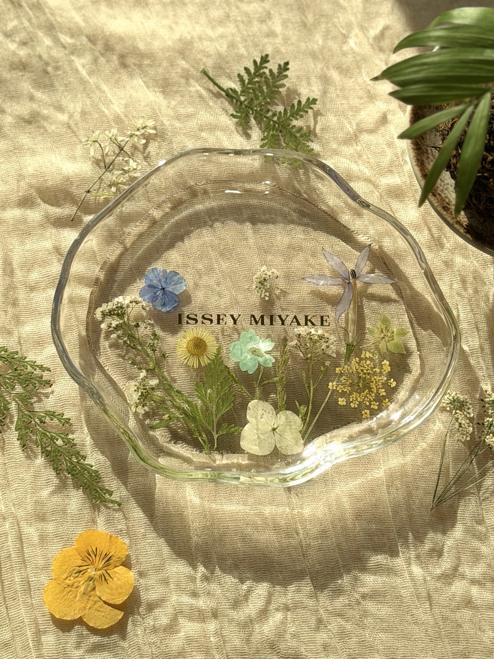 押花碟工作坊 - Image 5