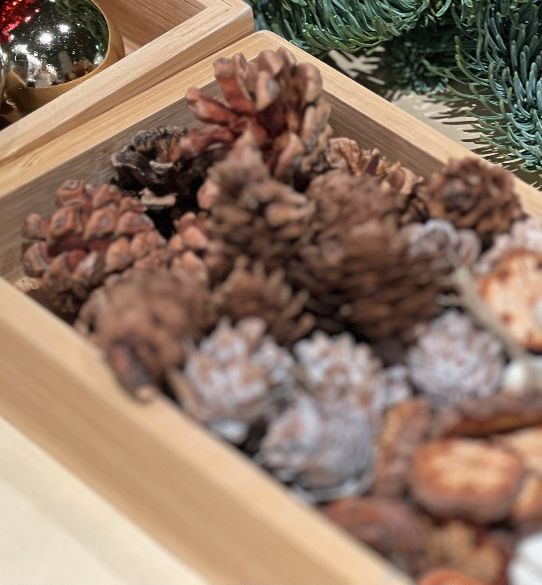 鮮荷蘭貴族松聖誕樹 DIY 材料包 - Image 4